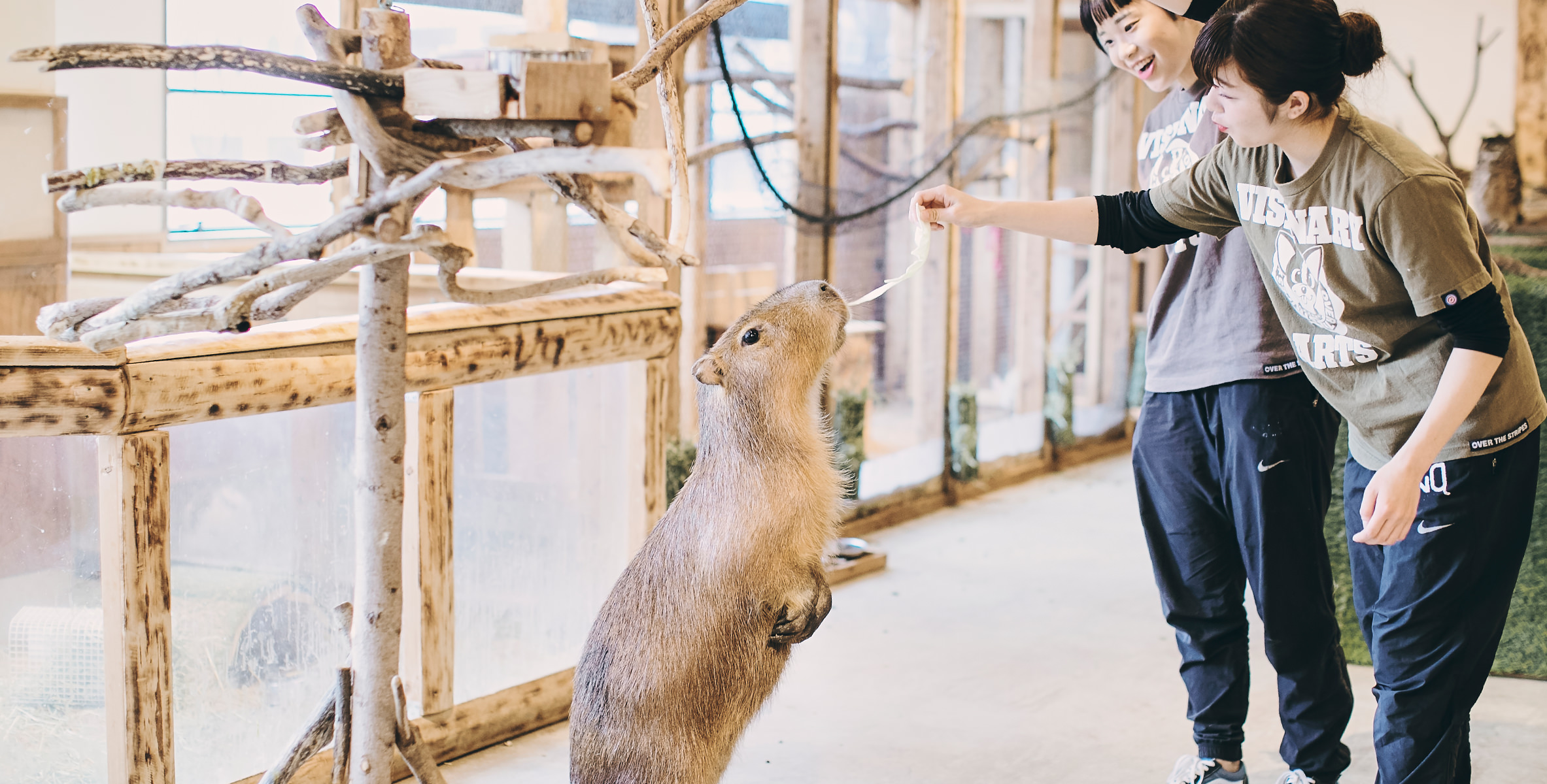 動物園飼育員専攻 専門学校ビジョナリーアーツ 東京校