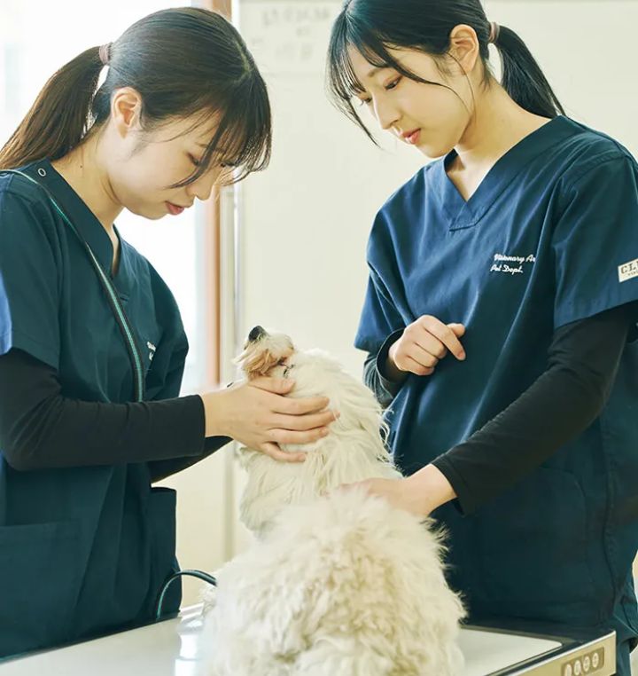 健康・衛生面のケア