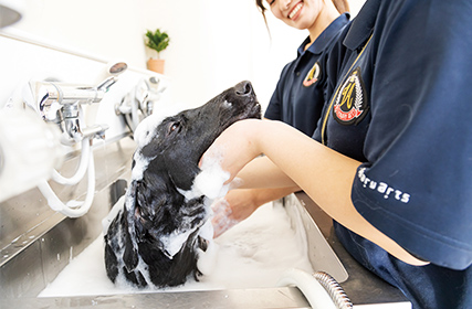 飼育員 ARTPLA 飼育員とシロサイセット｜プラモケイ｜海洋堂