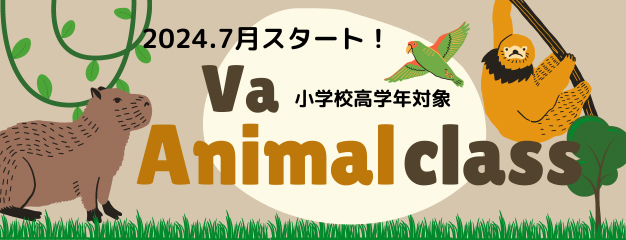 Va ANIMAL CLASSスタート