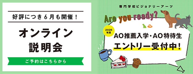 Va ANIMAL CLASSスタート