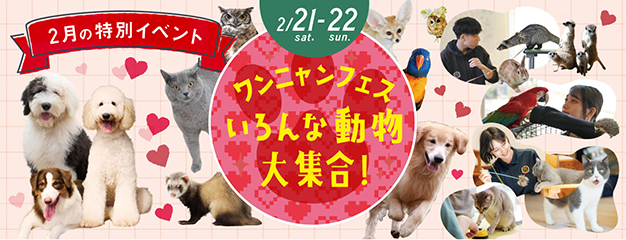 ペットイベント2